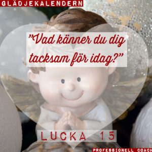 Läs mer om artikeln Lucka 15 Vad är du tacksam för idag?