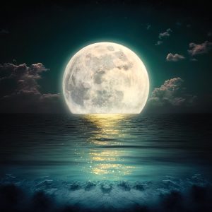 Läs mer om artikeln Online: 5/11 Superfullmåne meditation
